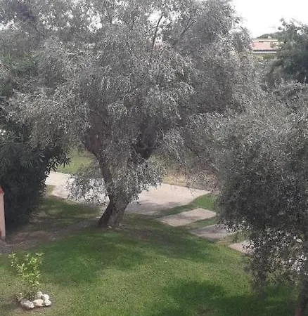 Sole E Mare Nel Villaggio Sant'Andrea Apostolo dello Ionio