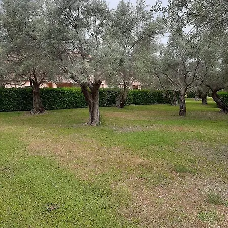 Sole E Mare Nel Villaggio Lägenhet Sant'Andrea Apostolo dello Ionio